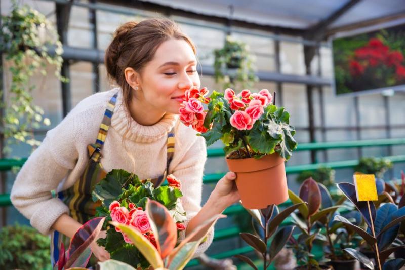 Кажетта Ахмежанова: комнатные цветы, которые помогают женщинам привлечь любовь и найти счастье
