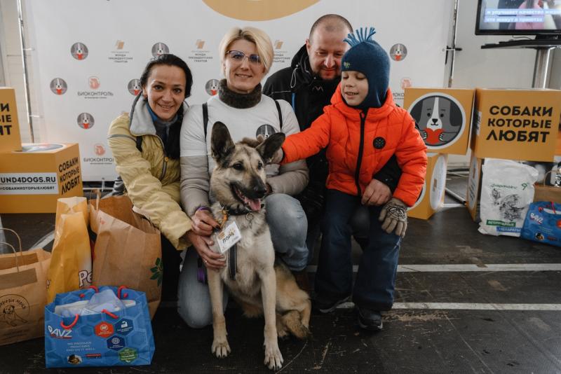 Благотворительный фестиваль «Собаки, которые любят» пройдет в ноябре в Москве