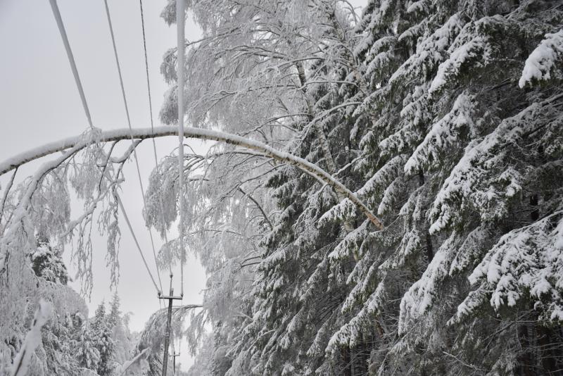 «Владимирэнерго» предупреждает об опасности поражения электрическим током во время непогоды