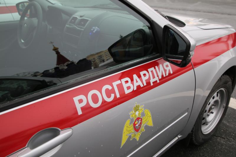 В Мордовии росгвардейцы оказали содействие сотрудникам ГИБДД в задержании нетрезвого водителя Экипаж вневедомственной