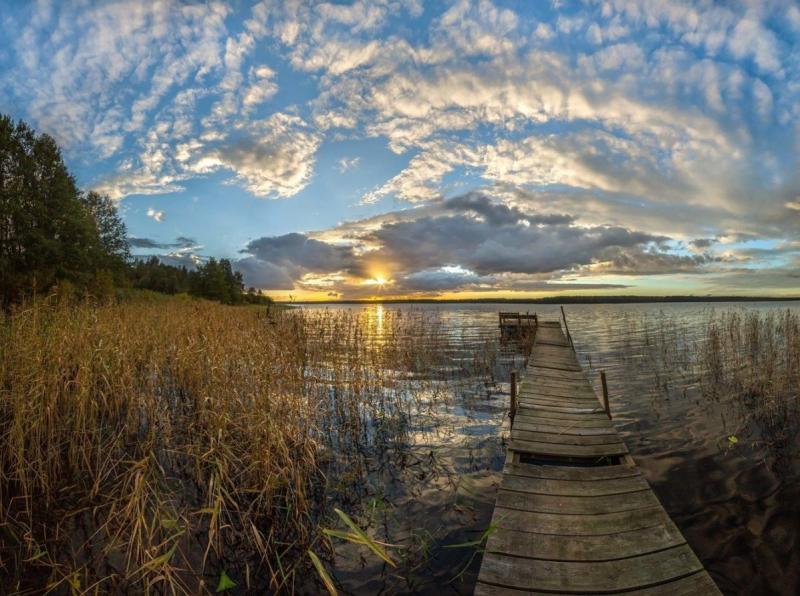 Правительство Ленобласти отказалось от создания заказника «Озеро Лубенское» в пользу опасного производства 