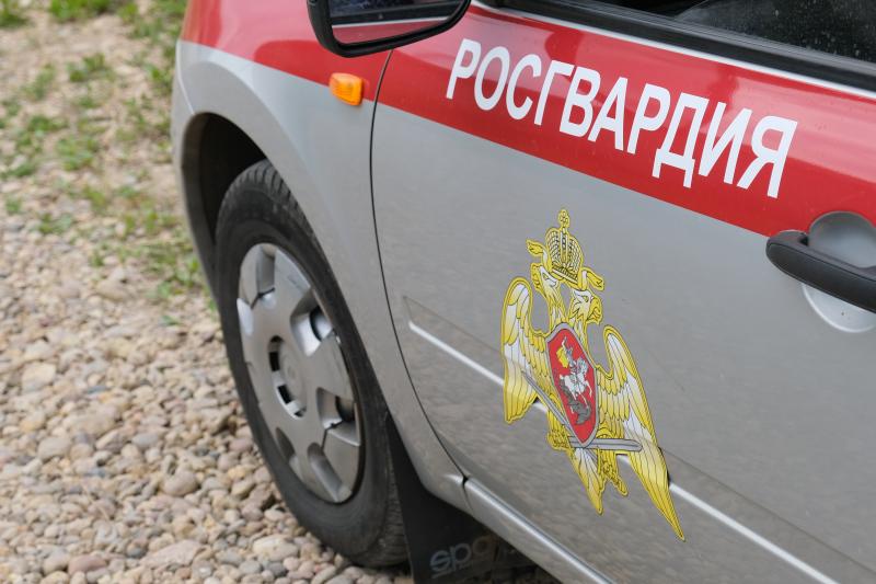 В Смоленской области росгвардейцы задержали гражданку, находящуюся в Федеральном розыске