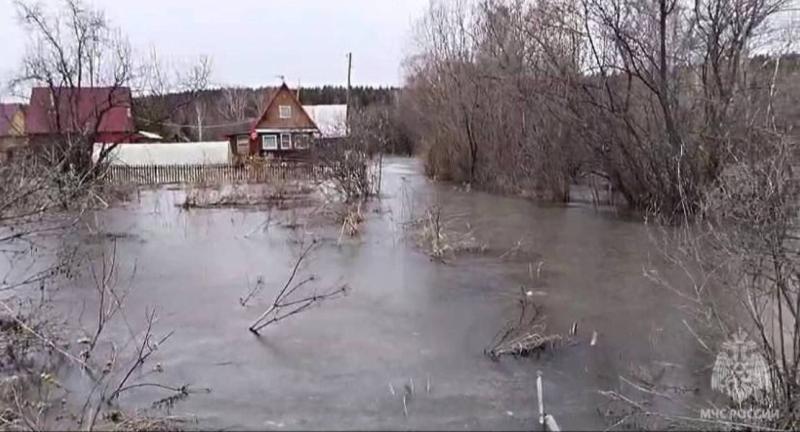 227 дачных участков ушли под воду в Новосибирской области
