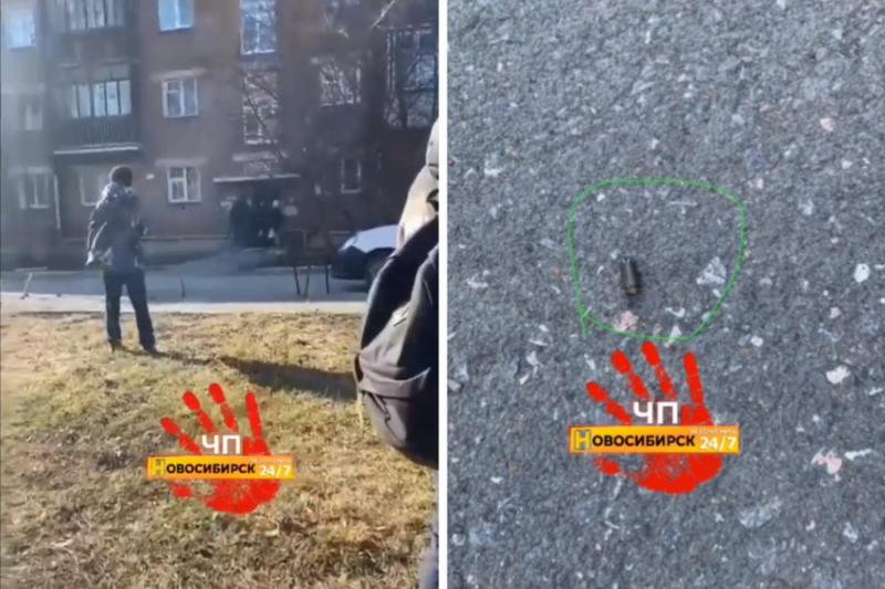 Мужчина стрелял по группе подростков около лицея в Новосибирске