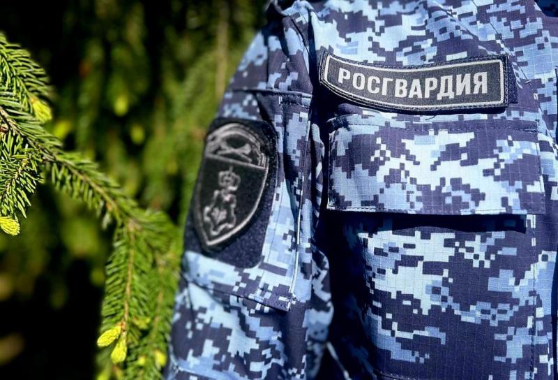 В Московской области сотрудники Росгвардии задержали нетрезвого водителя